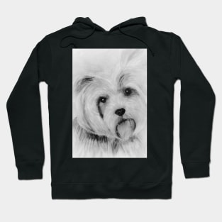 Yorkie Hoodie